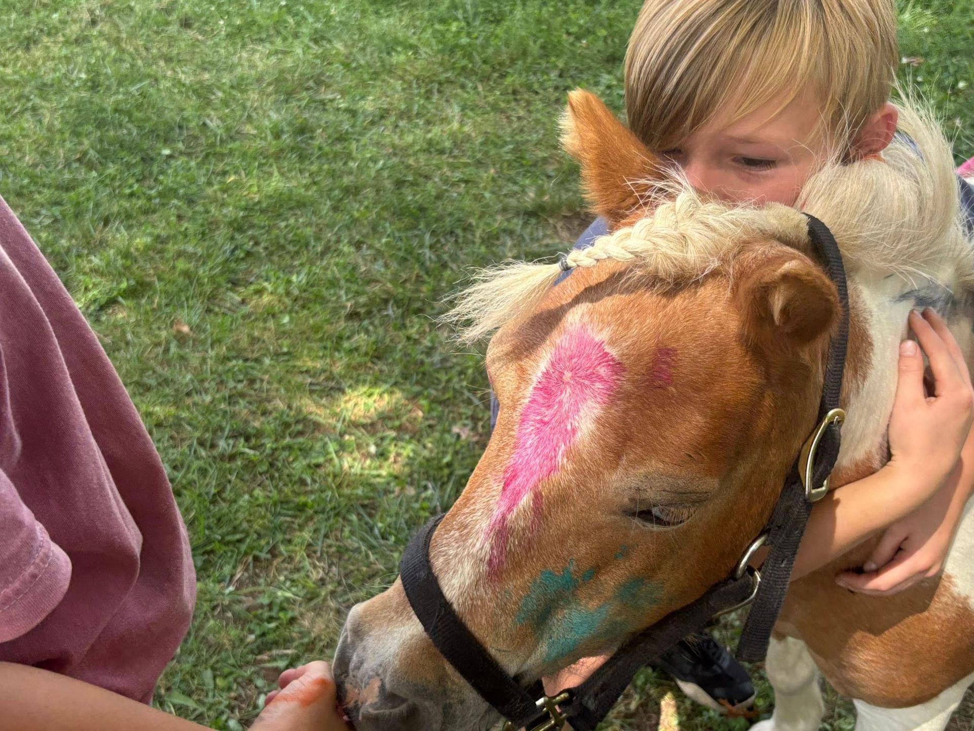 A young boy is holding a small brown horse with pink and blue paint on its face.