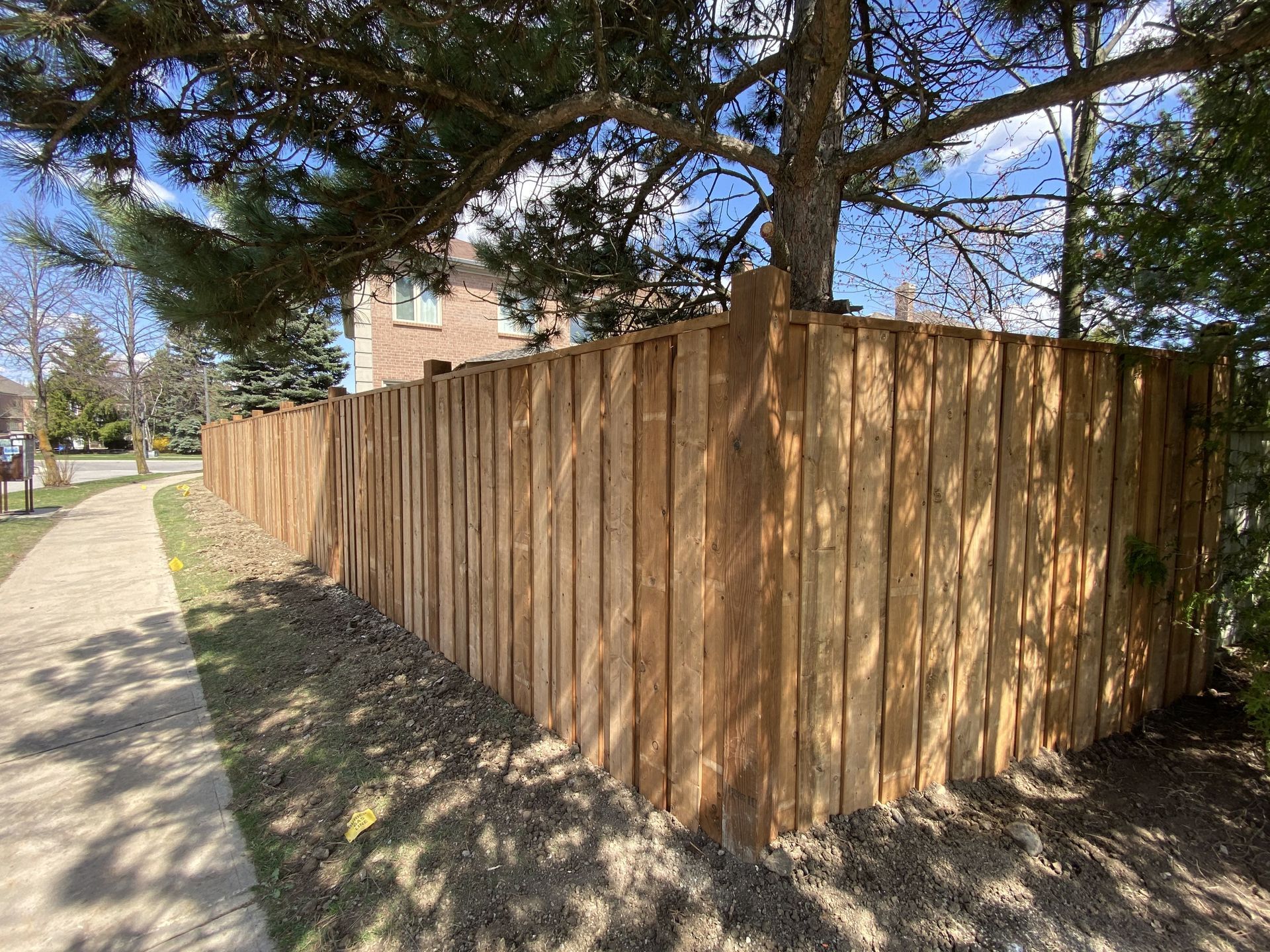 A wooden fence along a sidewalk next to a tree.