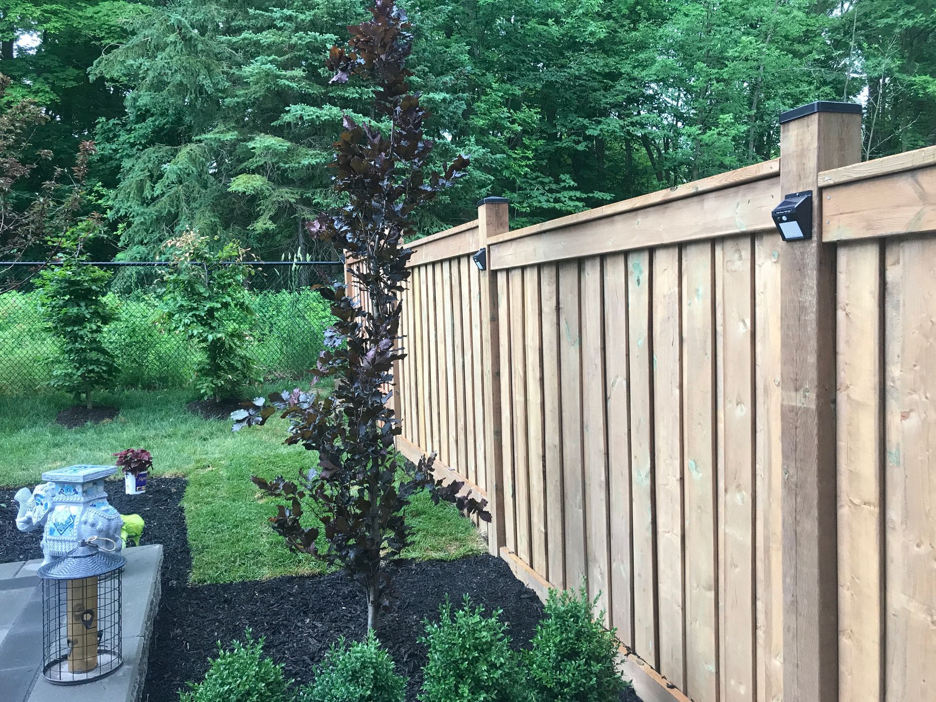 A wooden fence is surrounded by trees and bushes in a backyard.