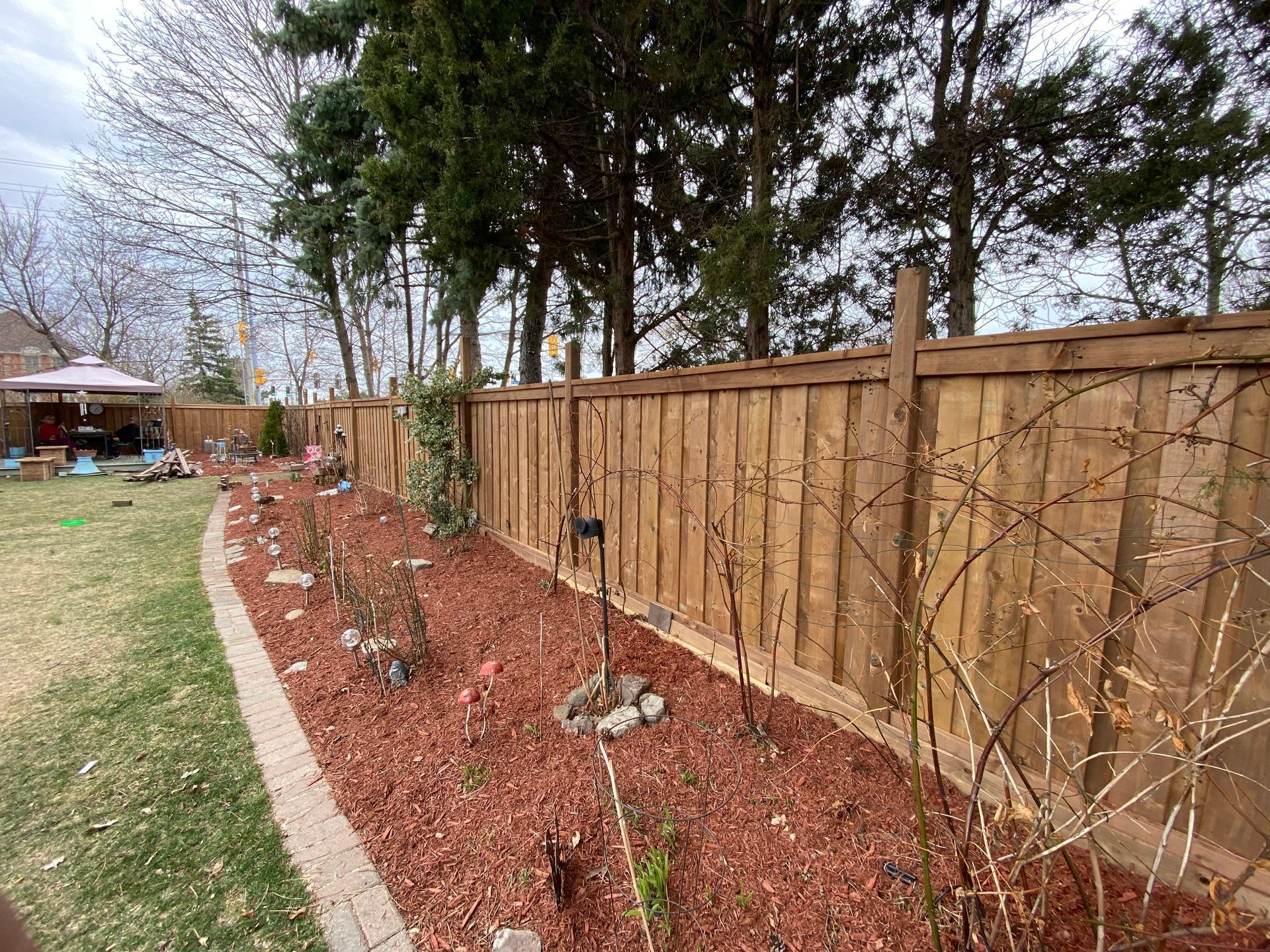 A wooden fence is surrounded by trees in a backyard.