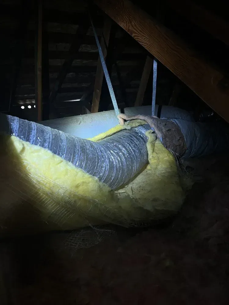 A person is holding a hose in an attic with a flashlight.
