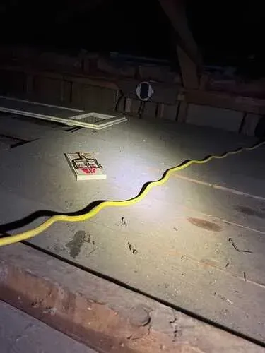 A mouse trap is laying on the floor next to a yellow cord.