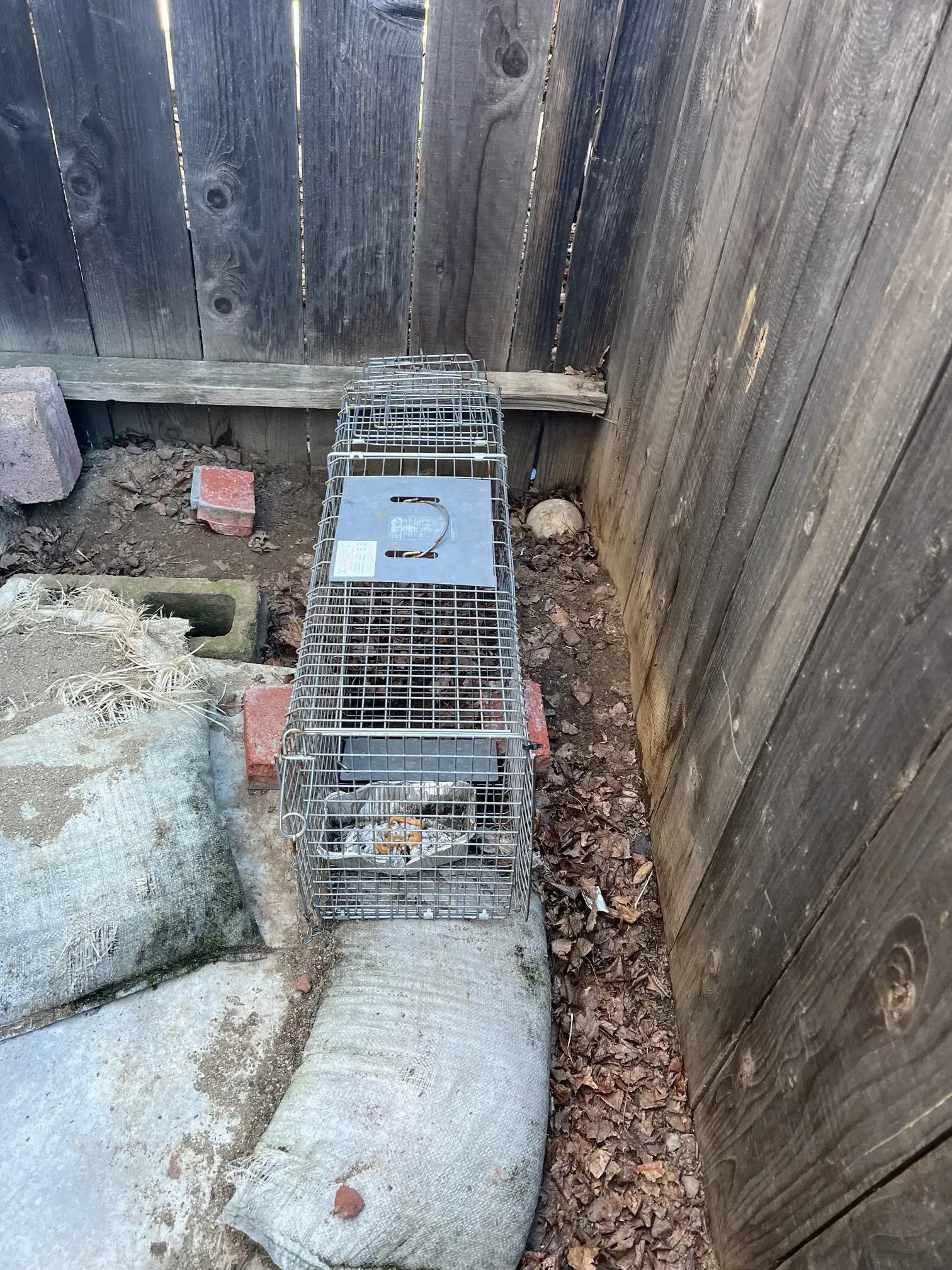 A mouse is in a cage next to a wooden fence.