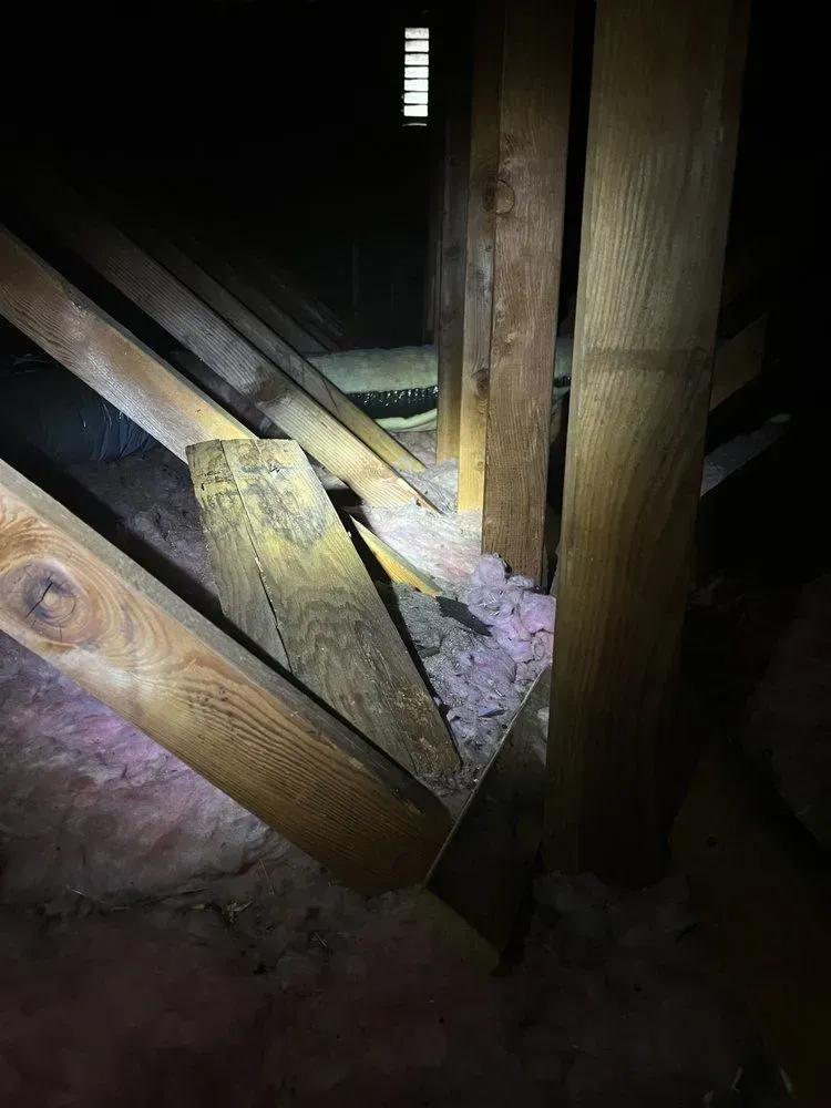 A person is standing in an attic with a flashlight.