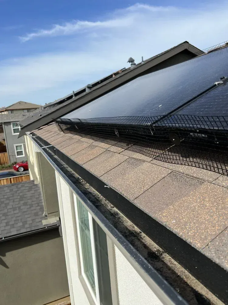 A house with solar panels on the roof and a gutter.