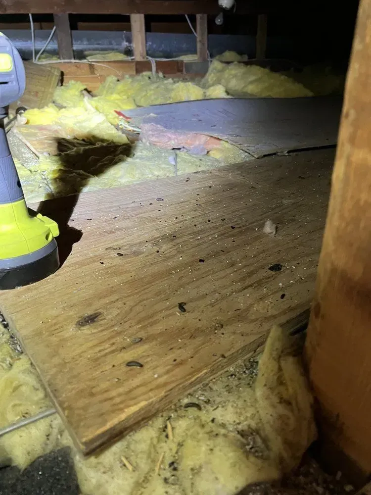 A drill is sitting on a wooden floor in an attic.