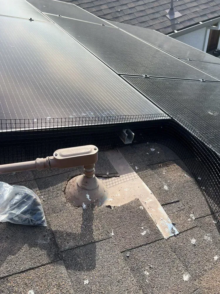 A roof with a lot of solar panels on it.