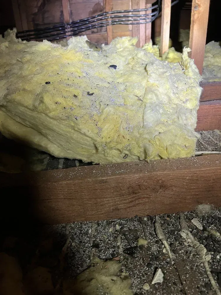 There is a lot of insulation in the attic.