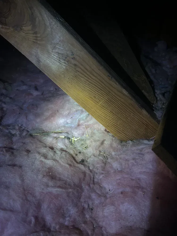 A person is looking under a wooden beam in an attic with a flashlight.