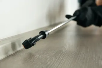 A person is spraying a pesticide on a wooden floor.