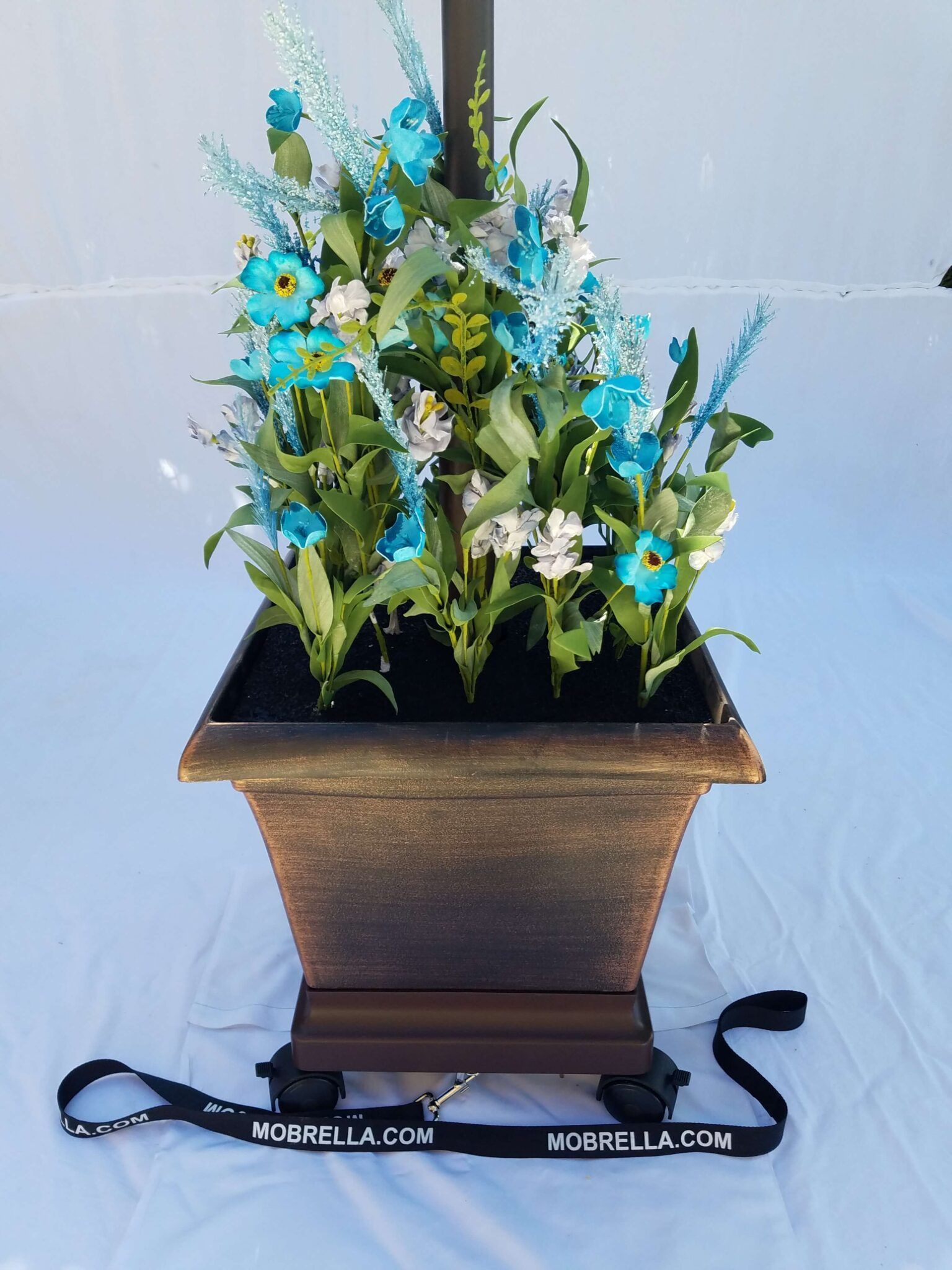 A potted plant with blue and white flowers and green leaves