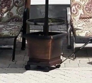 A potted plant is sitting on a patio next to a table and chairs.