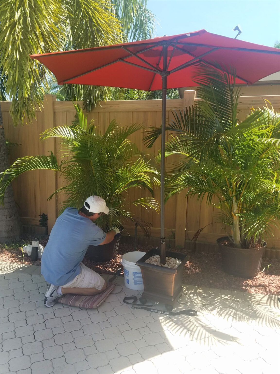 A man is kneeling down to plant a palm tree under an umbrella.
