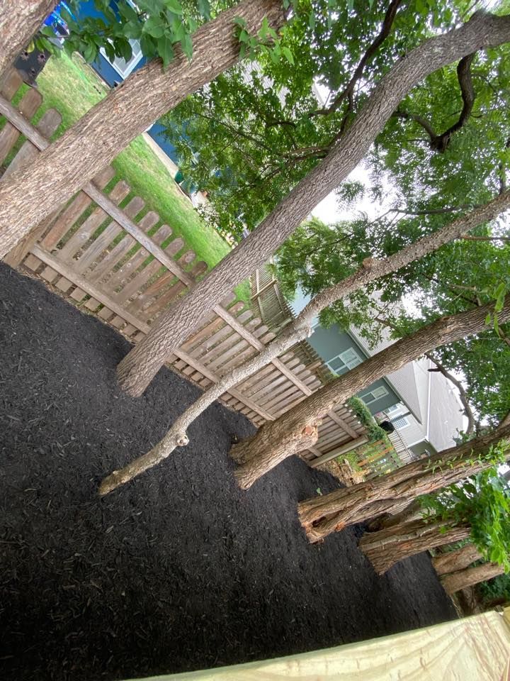 Tree-lined yard with black mulch and a wooden fence behind it