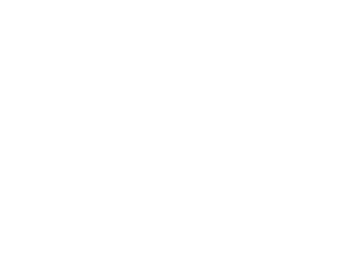 Nancy's Home Health Care Services logo