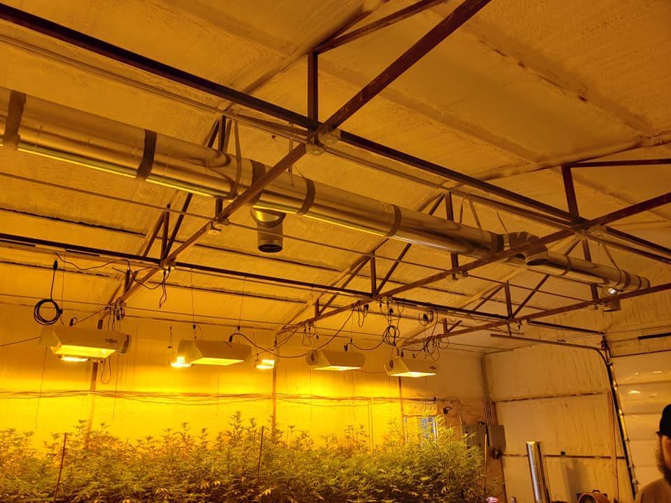Interior of a greenhouse with overhead lights and plants. Metal beams and ductwork span the ceiling, lit with a yellow glow.