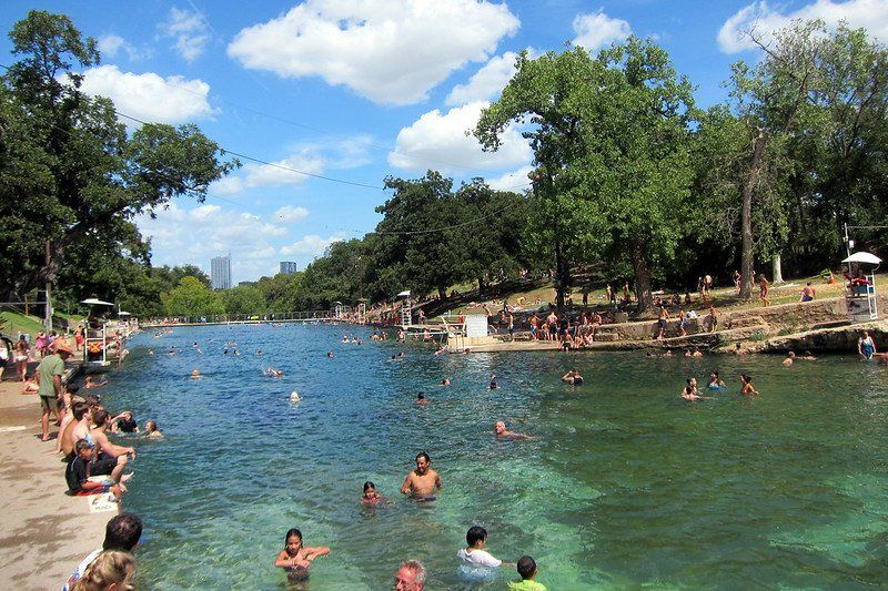 people swimming at Barton Springs Pool with the Austin skyline visible in the background