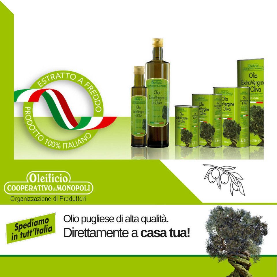 bottiglie e taniche di olio di oliva di puglia