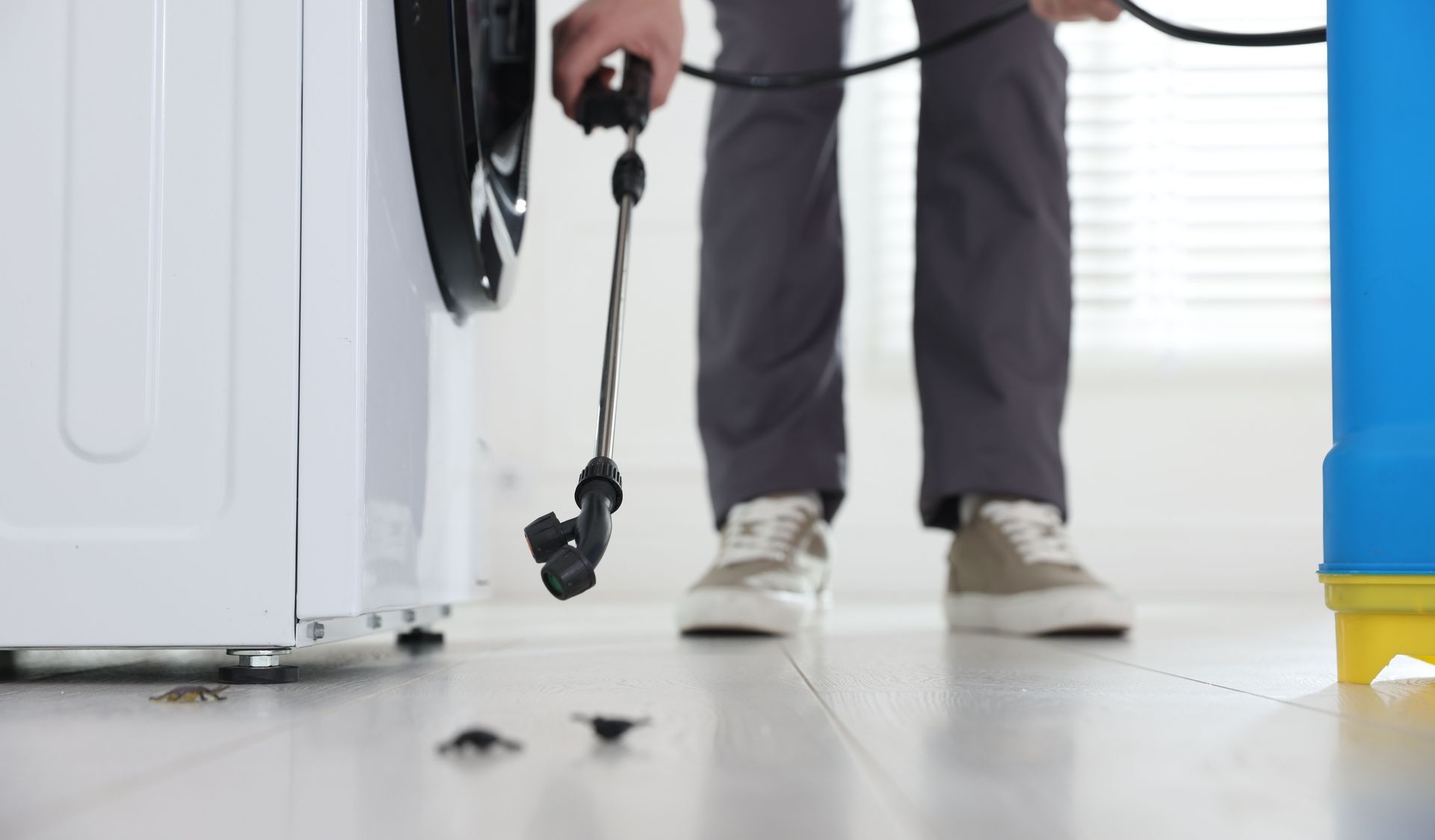 Pest control worker spraying insecticide indoors.