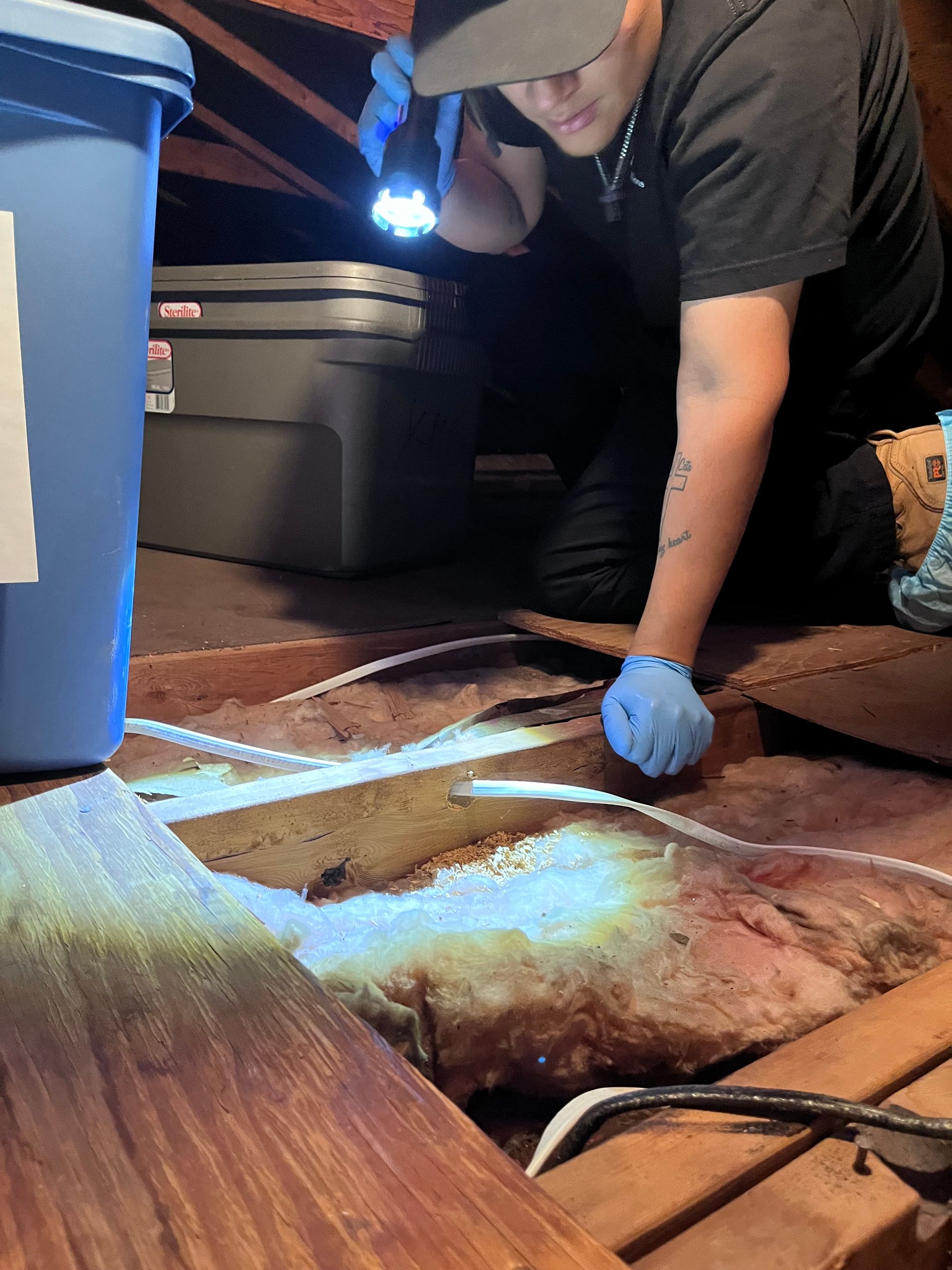 Person in an attic inspecting insulation with a flashlight, wearing gloves. Blue bins and dark storage boxes nearby.