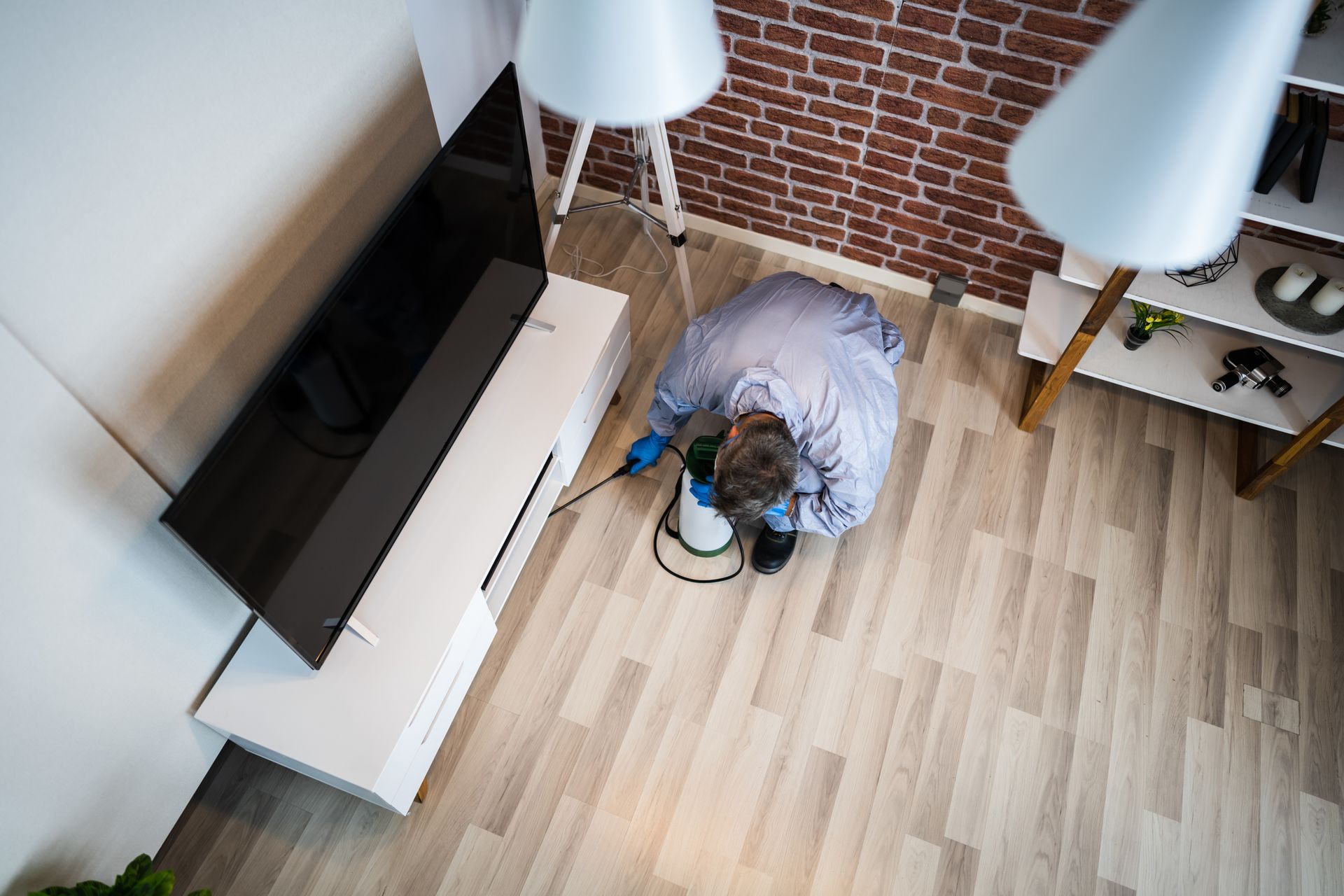 Pest control exterminator services spraying termite insecticide.