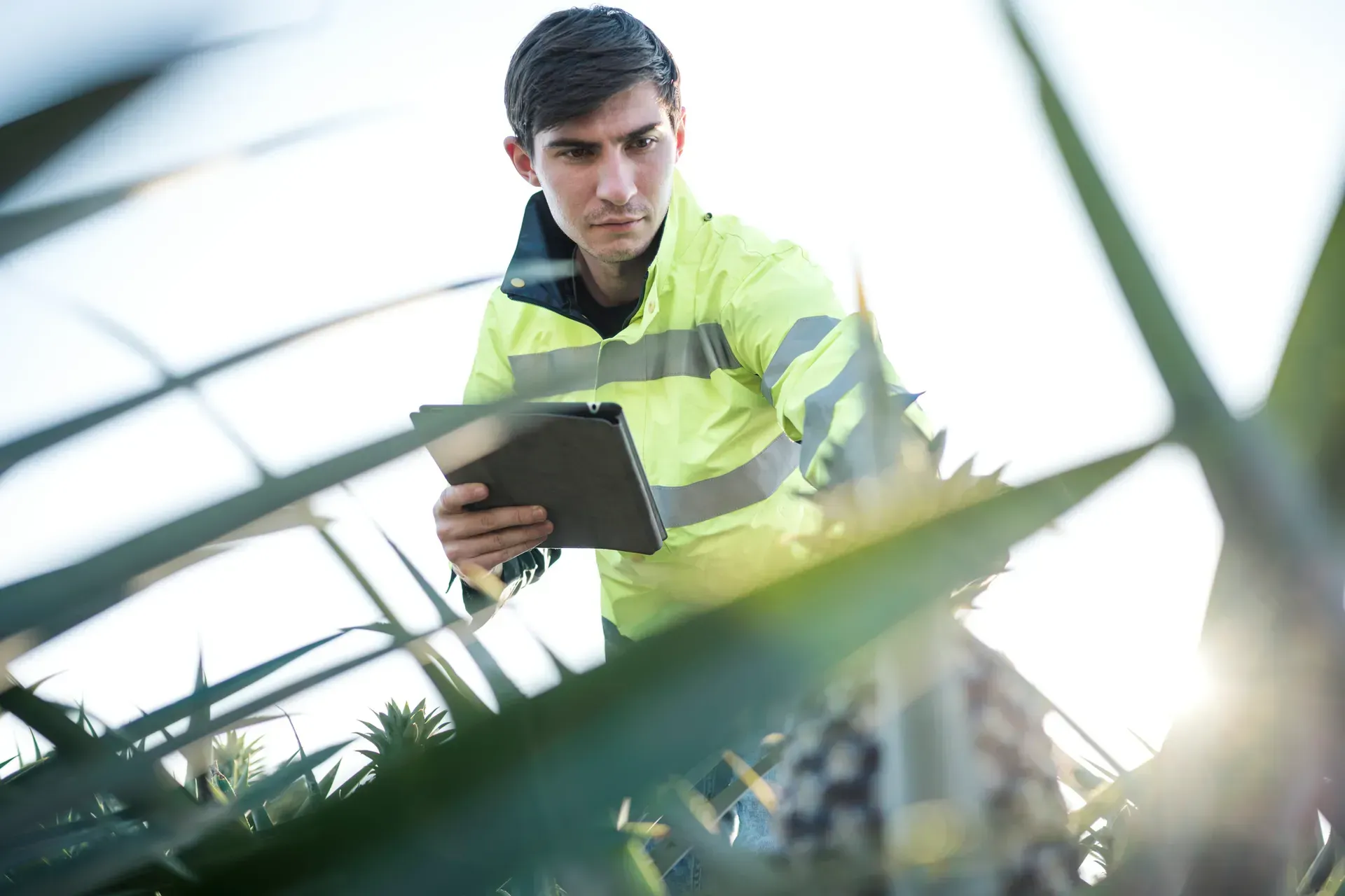 A man in a protective suit is spraying a room with a sprayer.