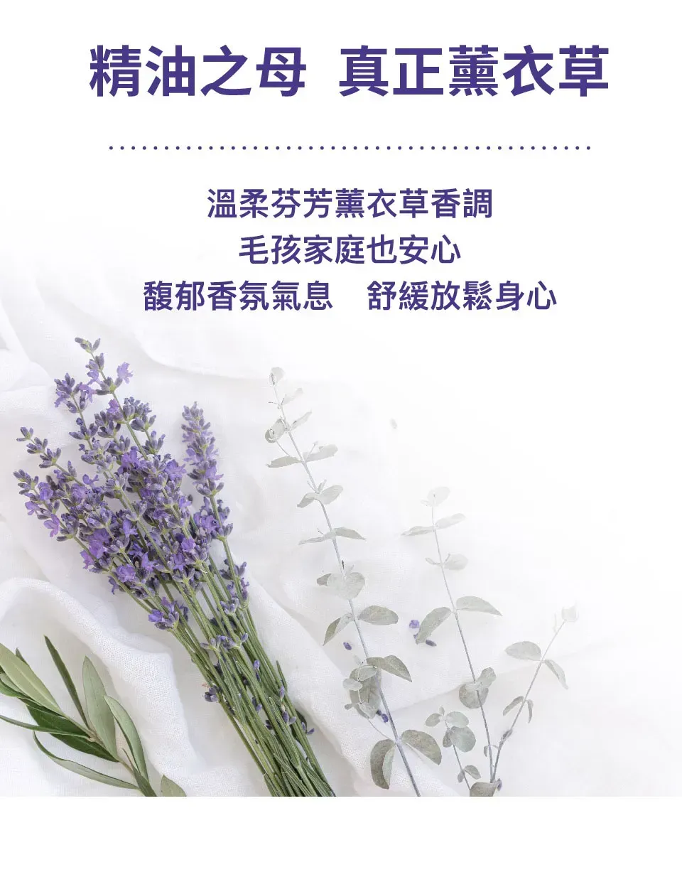 真正薰衣草是精油之母，水魔素家事黑皂液泡沫慕斯成分含有真正薰衣草精油