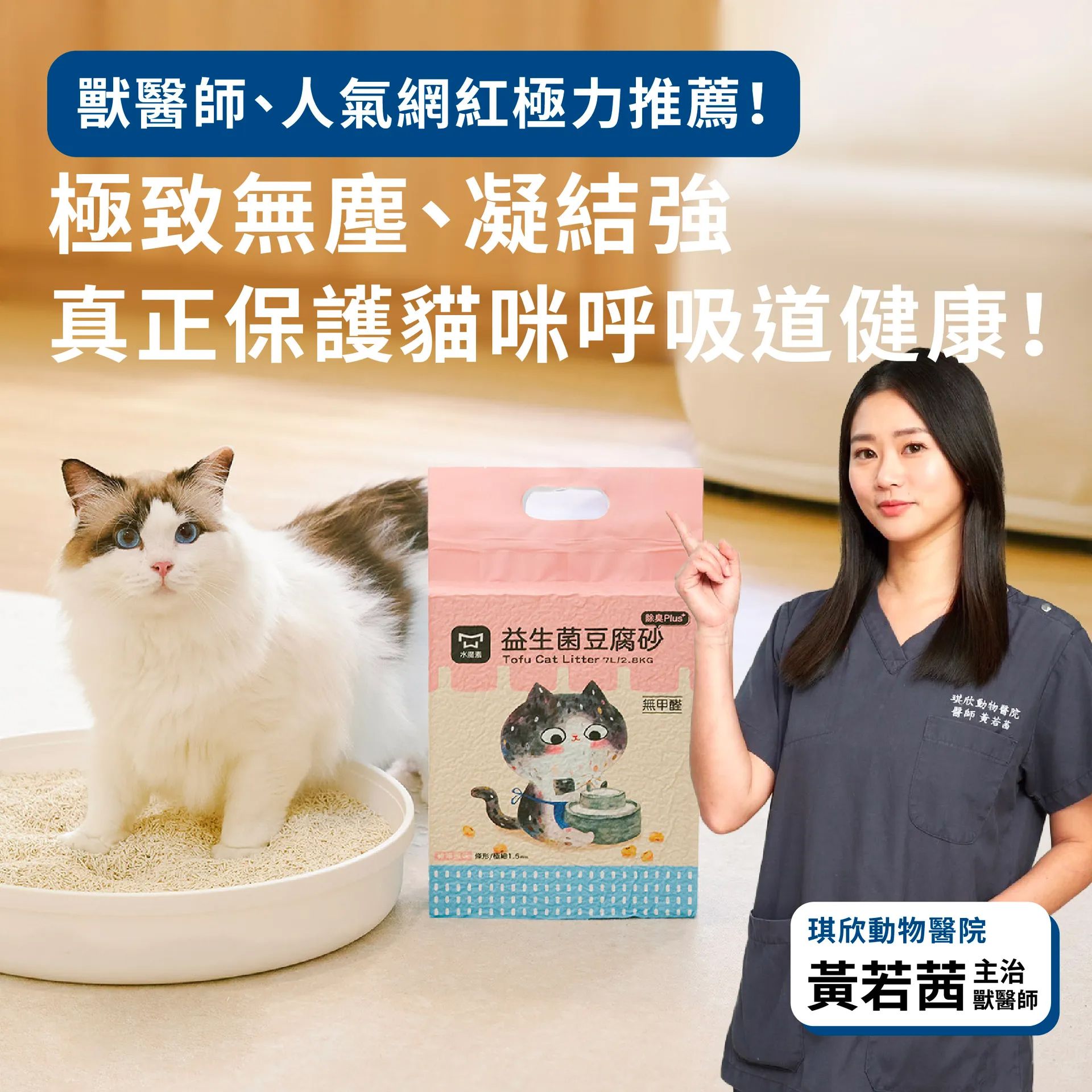 水魔素豆腐砂極致無塵凝結強