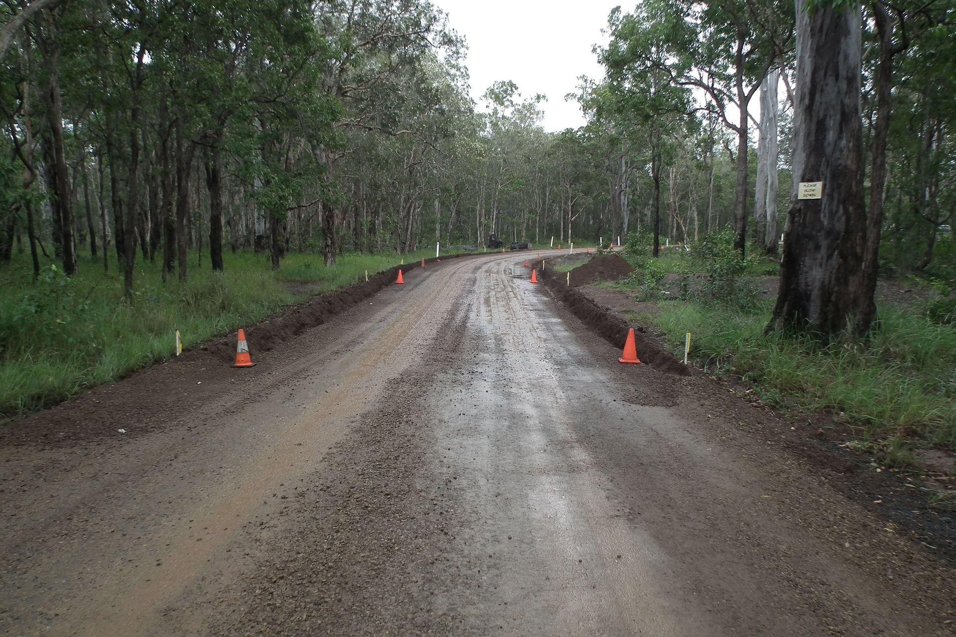 Dirt Road Through a Forest Lined with Trees — Snell Earthworx In Hervey Bay, QLD