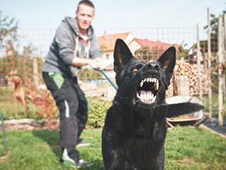 Dog Bites — Man Pulling His Angry Dog in Aiken, SC