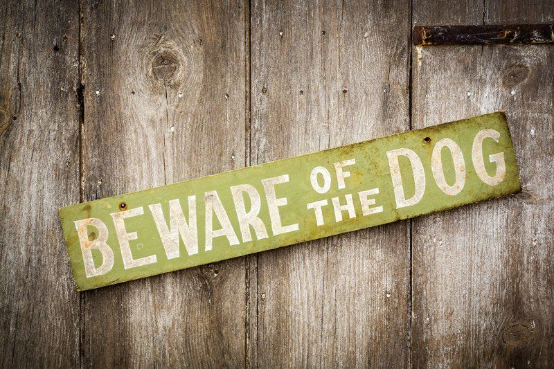Personal Injury Attorney — Beware of the Dog Signage in Aiken, SC Personal Injury Attorney — Beware of the Dog Signage in Aiken, SC