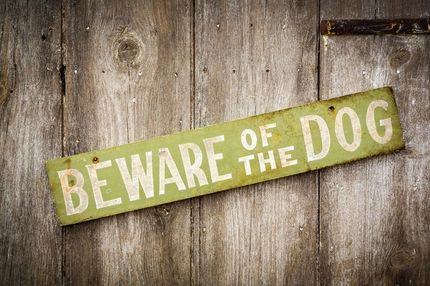 Personal Injury Attorney — Beware of the Dog Signage in Aiken, SC