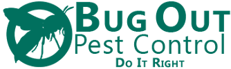BUG OUT Pest Control