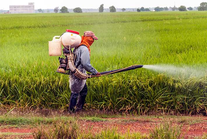 Spray pesticides - pest control services in Southeastern MA
