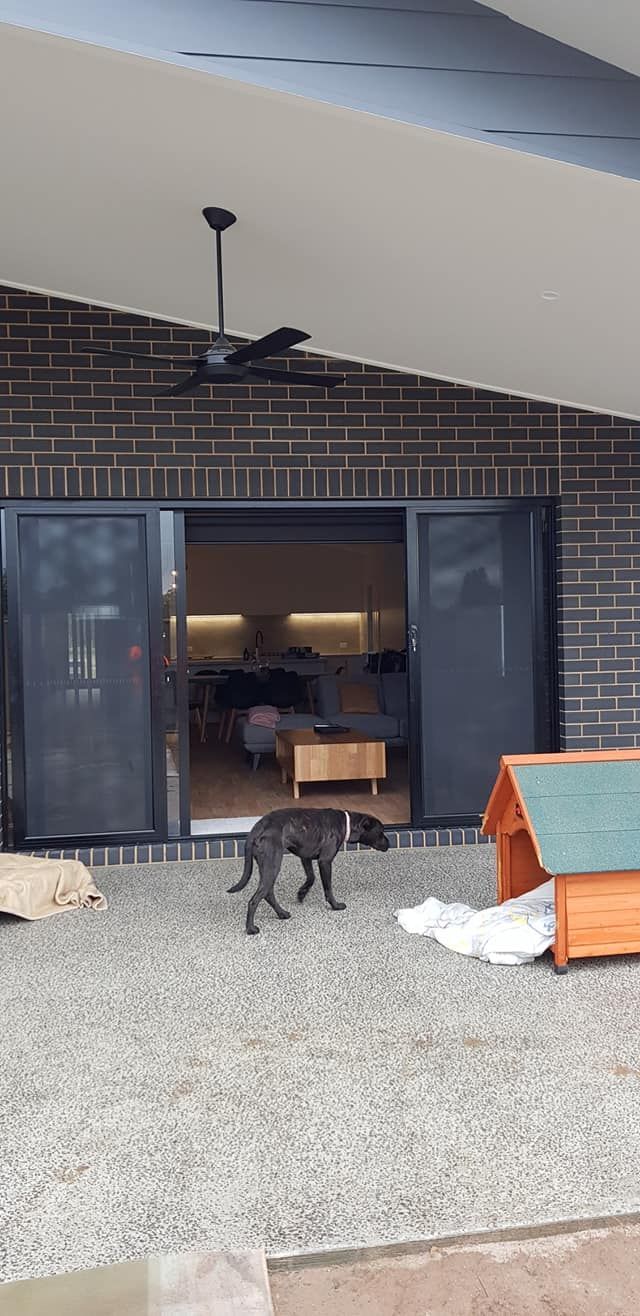 Two Dogs Are Walking On A Patio — Border Security Doors & Powder Coating in Wodonga, VIC