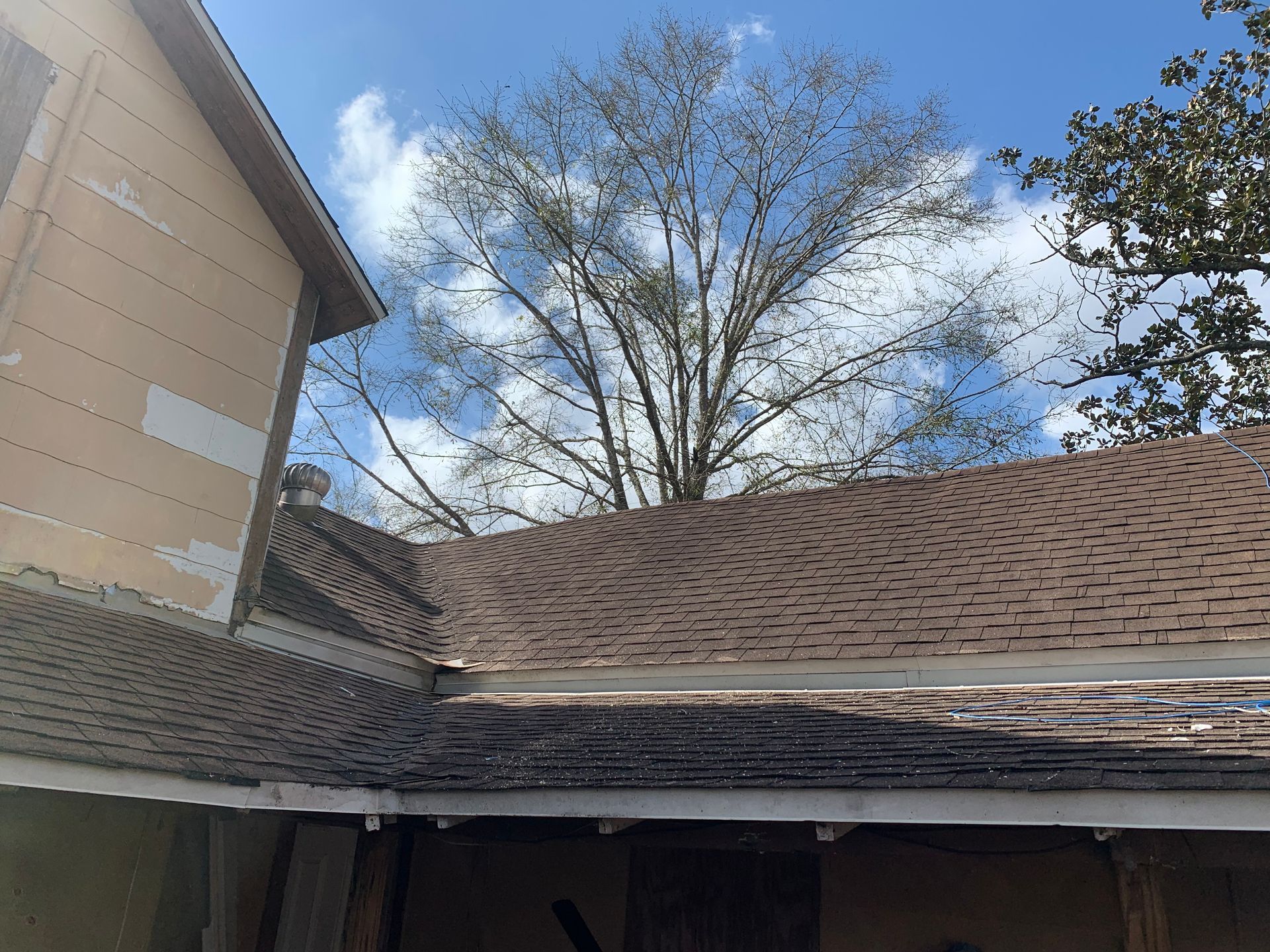 Brown shingled roof with a large tree behind a house on a sunny day.