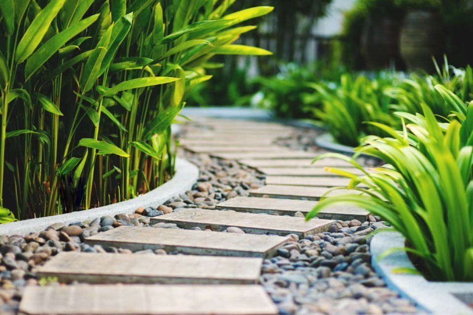 garden stone path with grass growing up between the stone