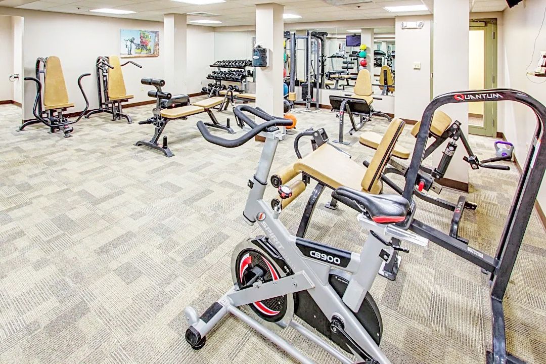 There are many different types of exercise equipment in this gym.