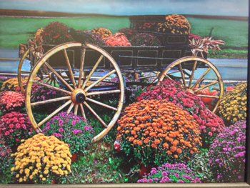Wagon filled with flowers