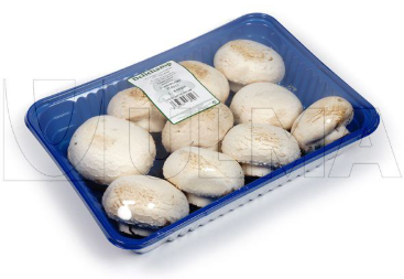 Champiñones en bandeja