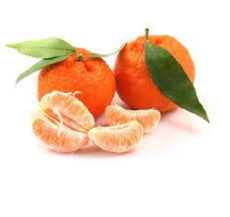 Mandarina Danci