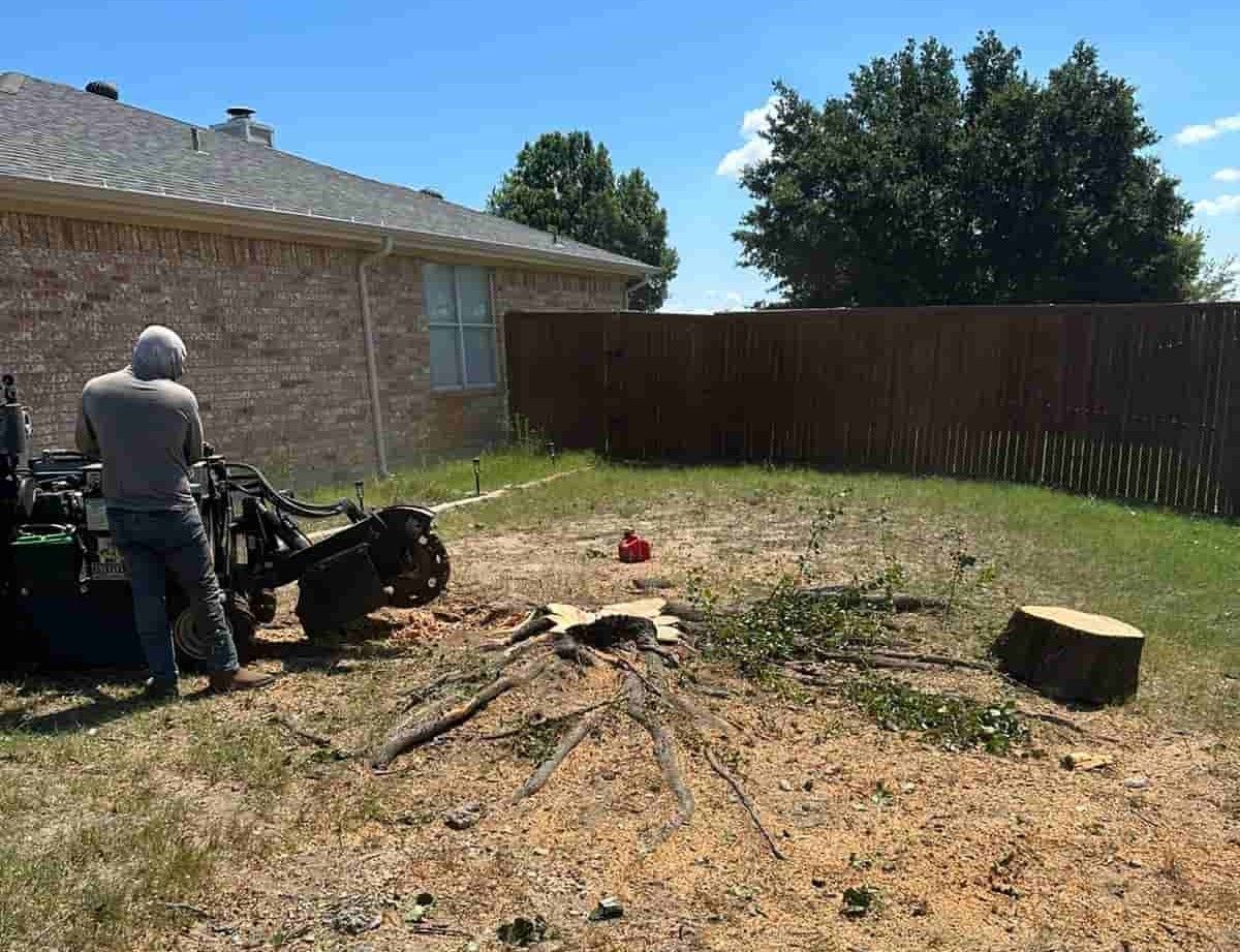 Man operating a stump grinder in a backyard next to a house and fence.