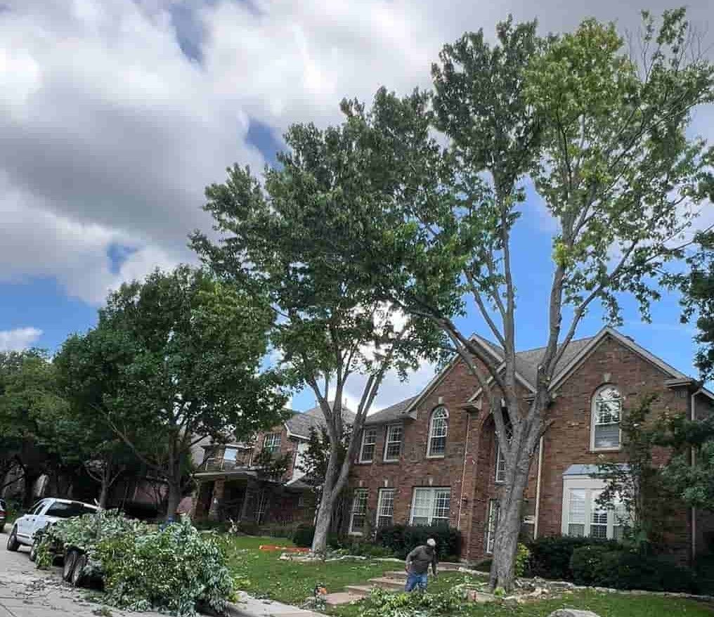 Trees being trimmed in front of a brick house. Green leaves and a white truck in the yard, under a partly cloudy sky.