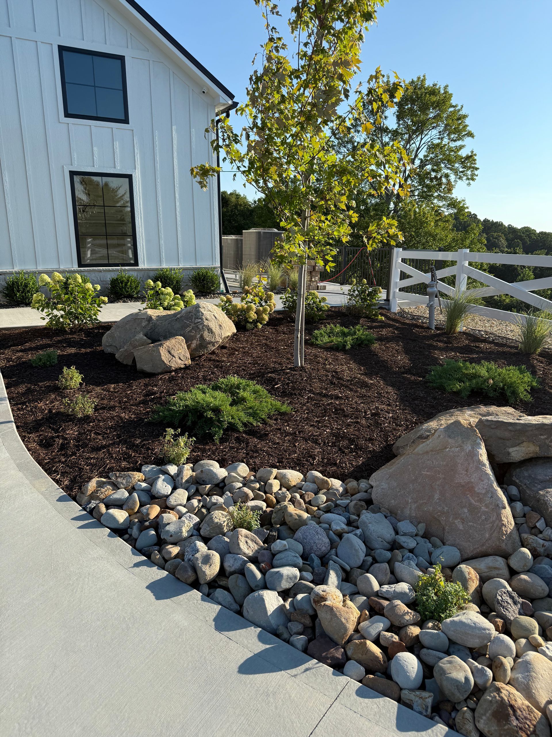 Landscaped yard with white barn, mulch, rocks, and small tree.