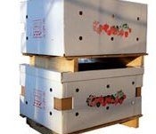 Due scatole in cartone