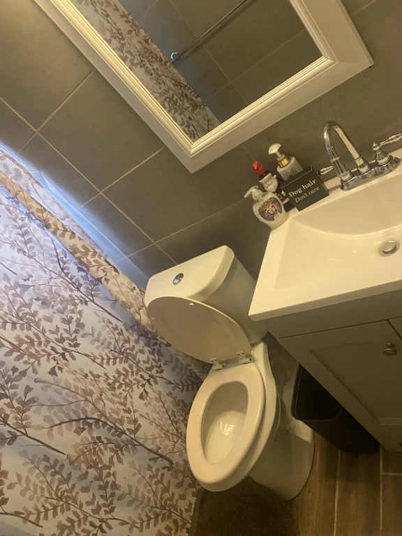 A bathroom with a toilet a sink and a mirror