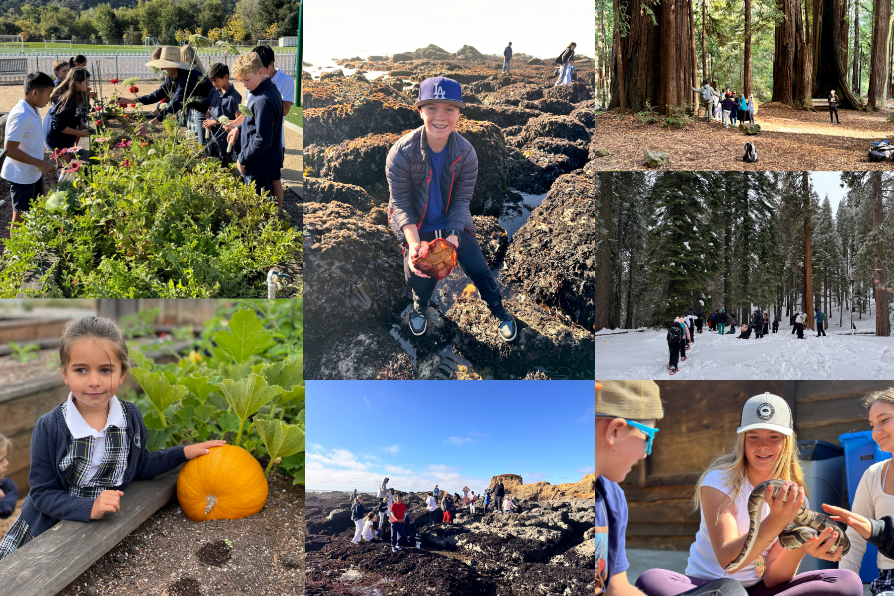 Children involved in outdoor activities: gardening, tide pooling, and exploring forests.