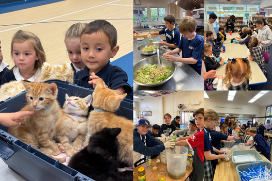 Children interacting with kittens and preparing food in a school setting.