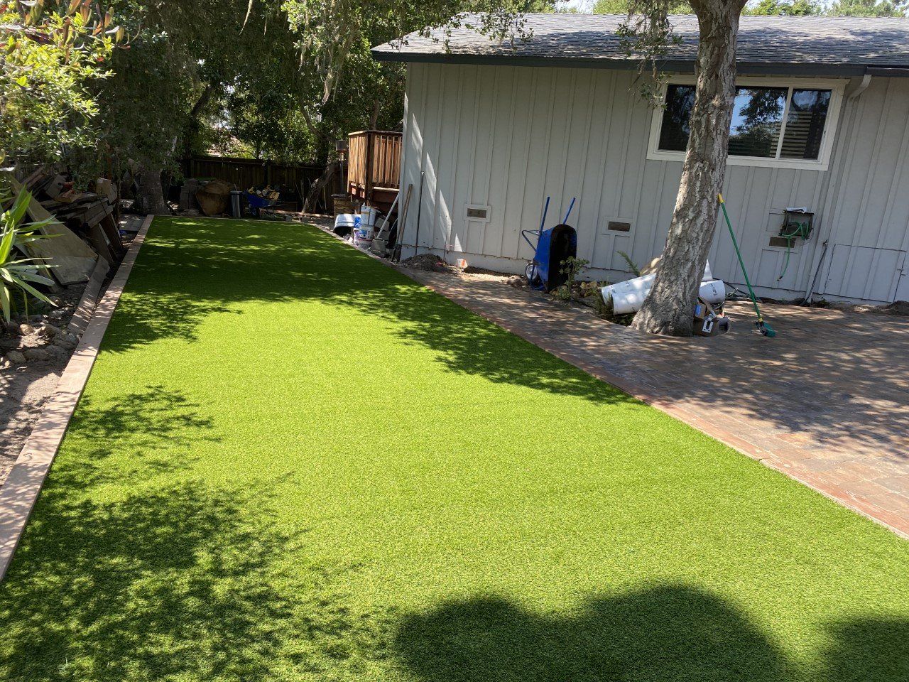 A backyard with a lush green lawn and a white house in the background.