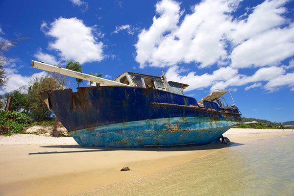 A Blue Boat is Sitting on a Sandy Beach — Coastal Arborist Services in Whitsundays, QLD